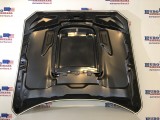 Hood (GT500 Style)